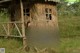 A naked woman sitting on a wooden chair in front of a hut.